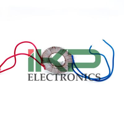100VA Rated Power 51℃ Temp. Rise Toroidal Transformer for Audio